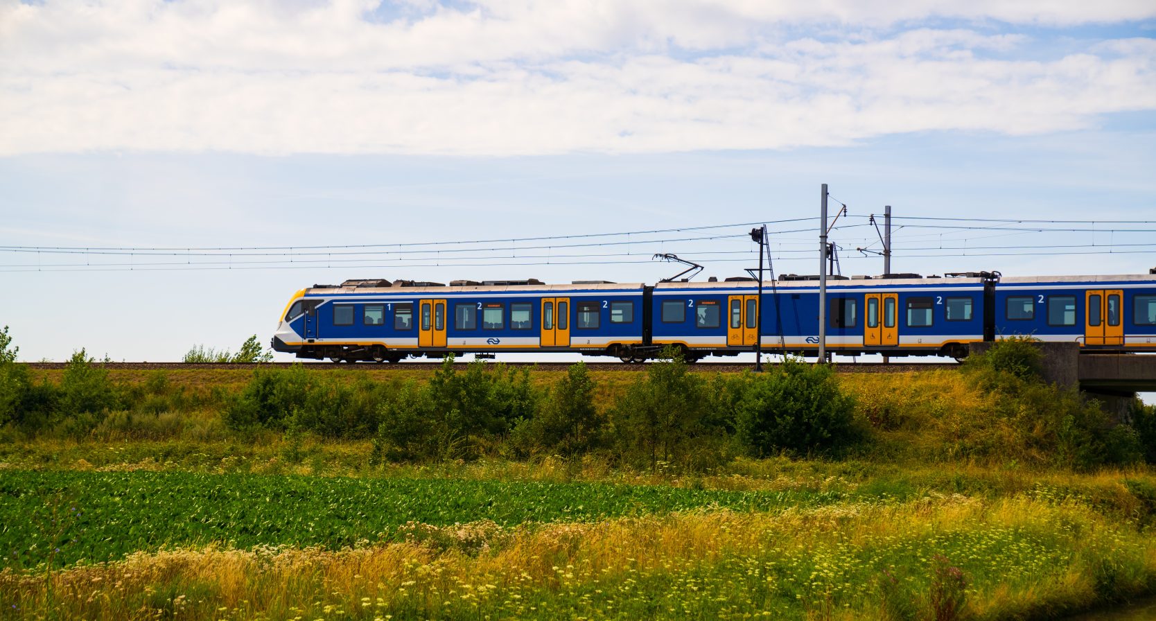 NS dalvrij