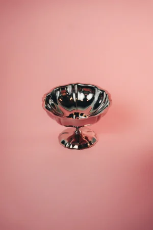 zilveren coupe