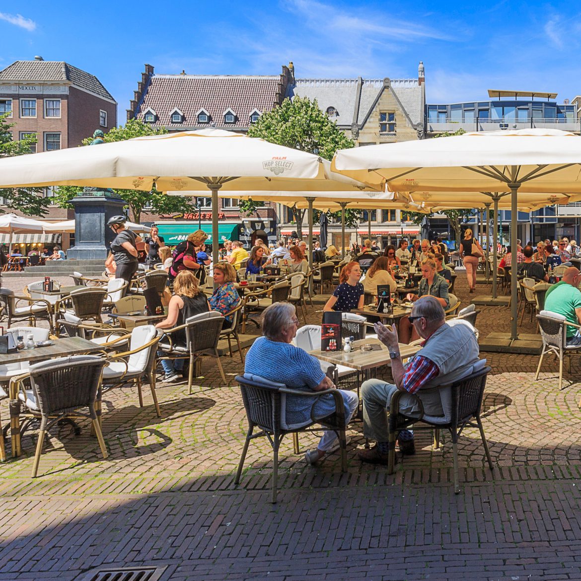 terras, nederland, zon