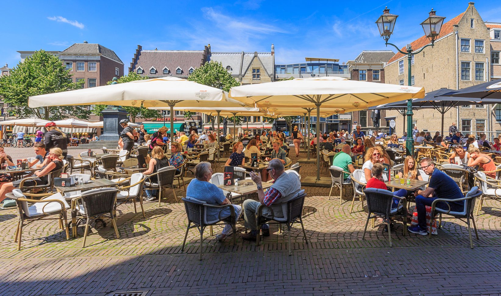 terras, nederland, zon