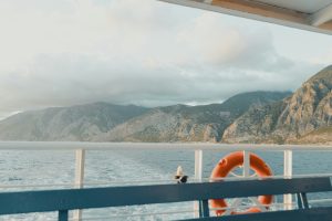 cruise