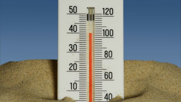 Van 8 naar 35 graden: temperatuur maakt deze week een bizarre sprong