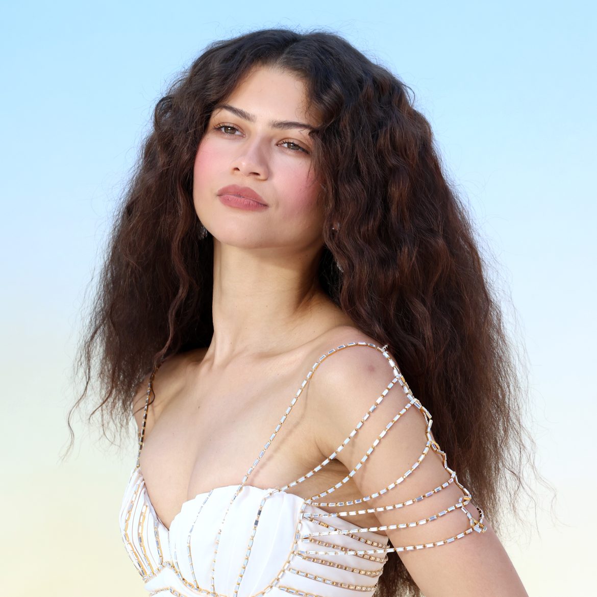 Zendaya salaris vermogen