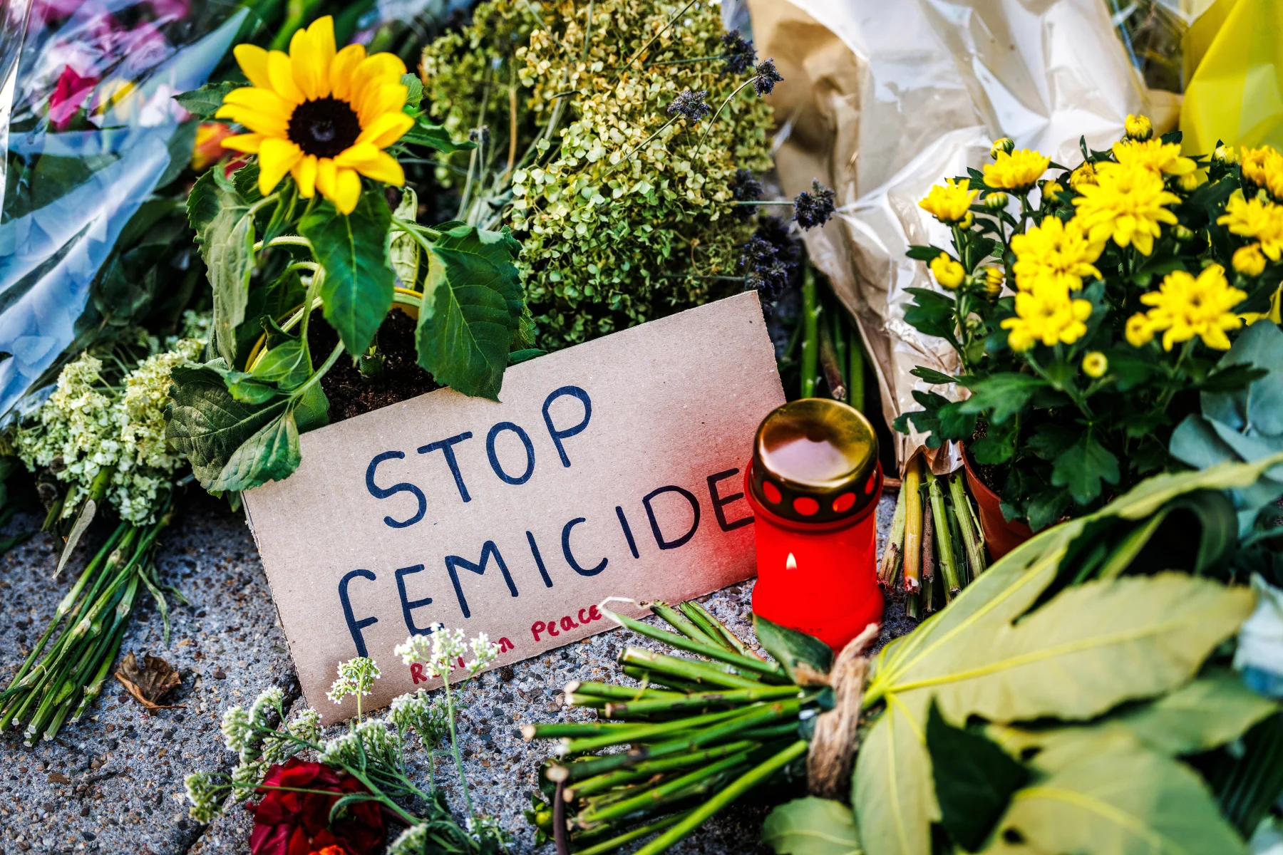 Inzamelingsactie Yakaira femicide