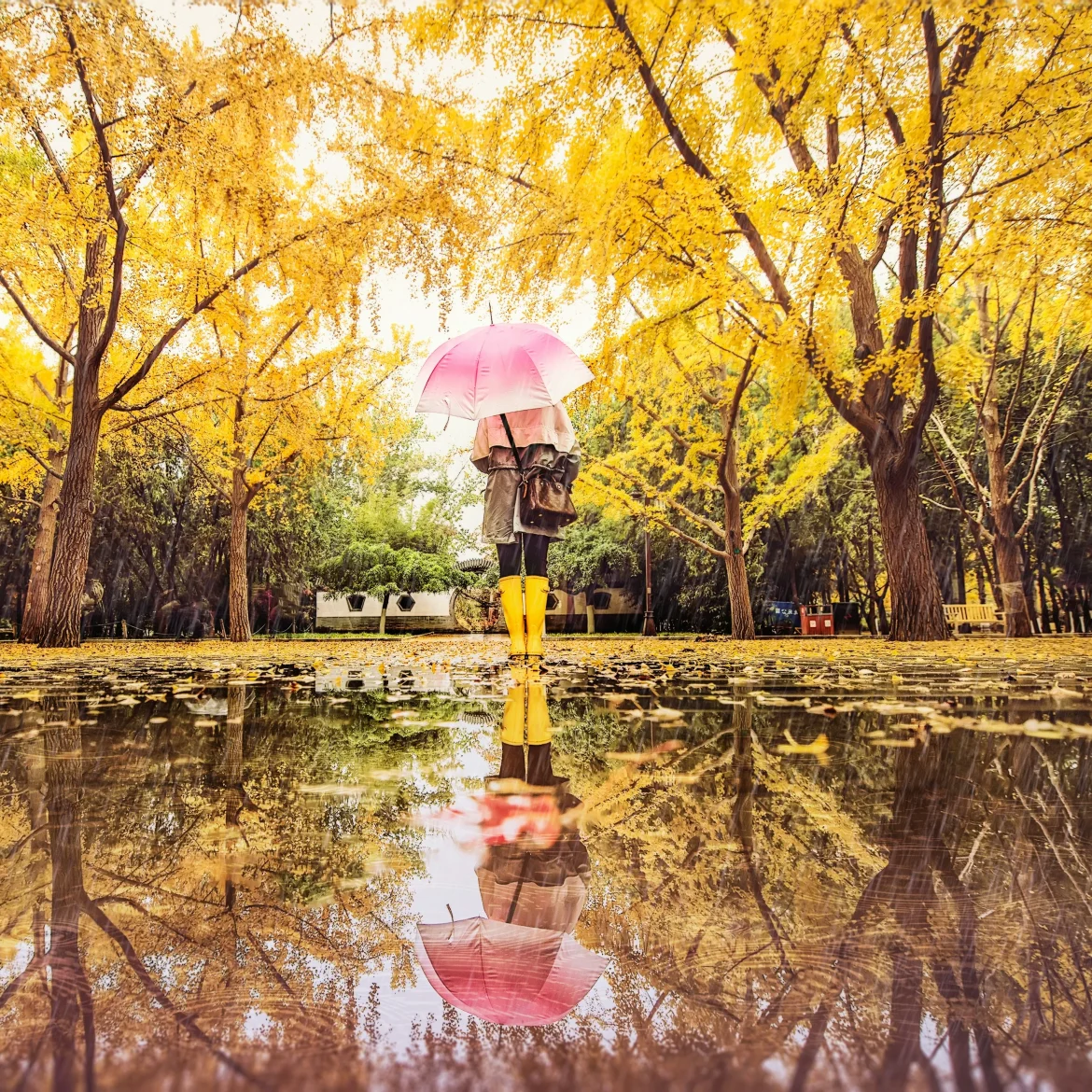 Natte herfst