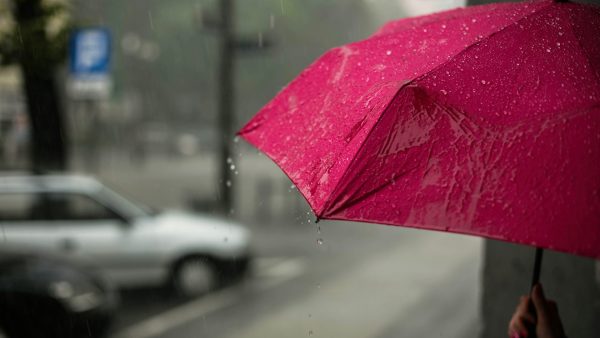 Eerst regen en flinke wind, maar zondag maakt het weer een zomerse comeback