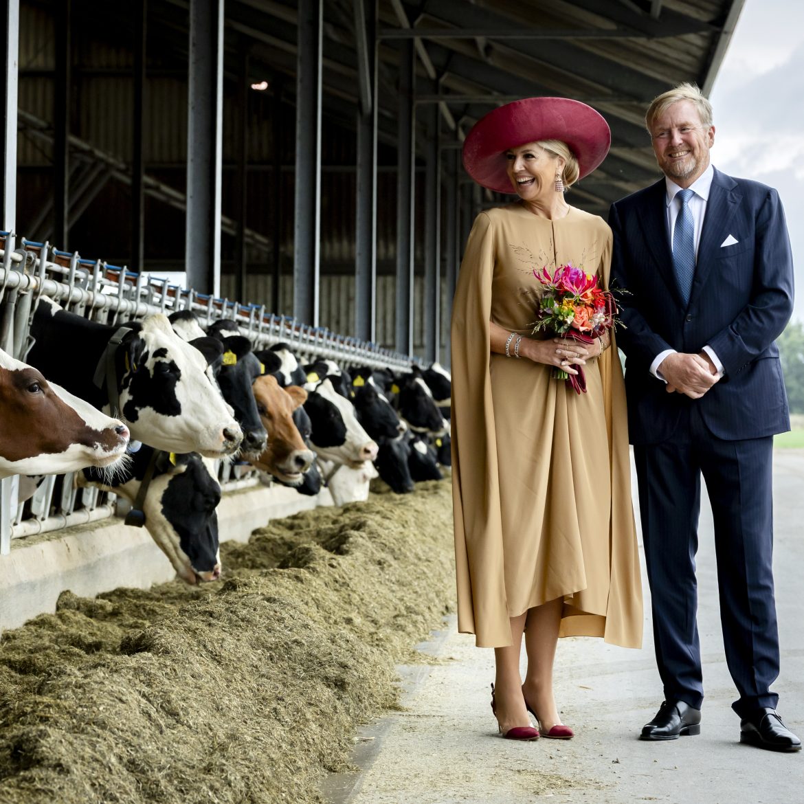 Máxima en Willem-Alexander poseren naast de koeien