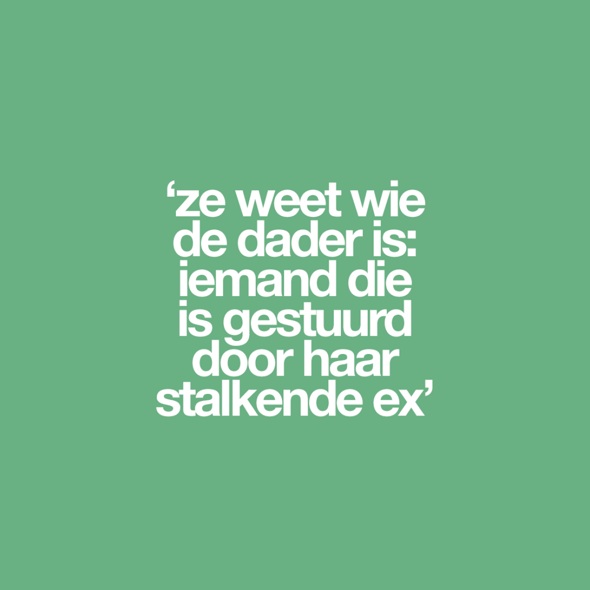 'Weet je wie de dader is?' 'Iemand die aangestuurd is door mijn ex'