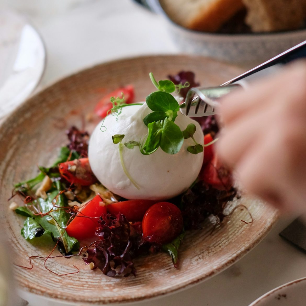 burrata