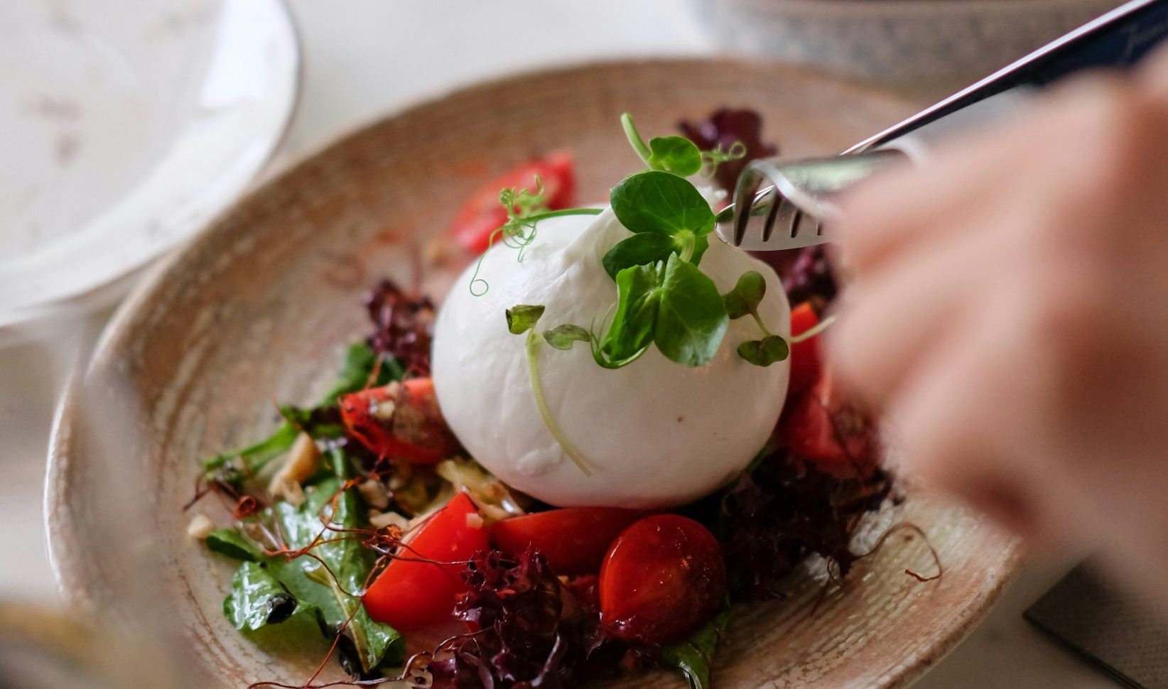 burrata