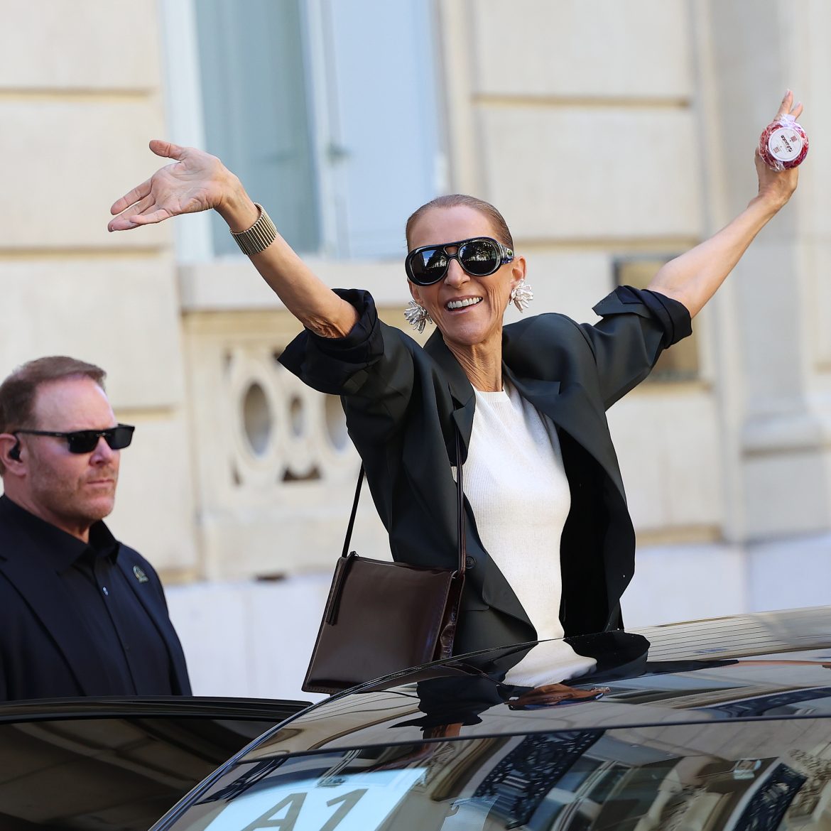 hotel celine dion