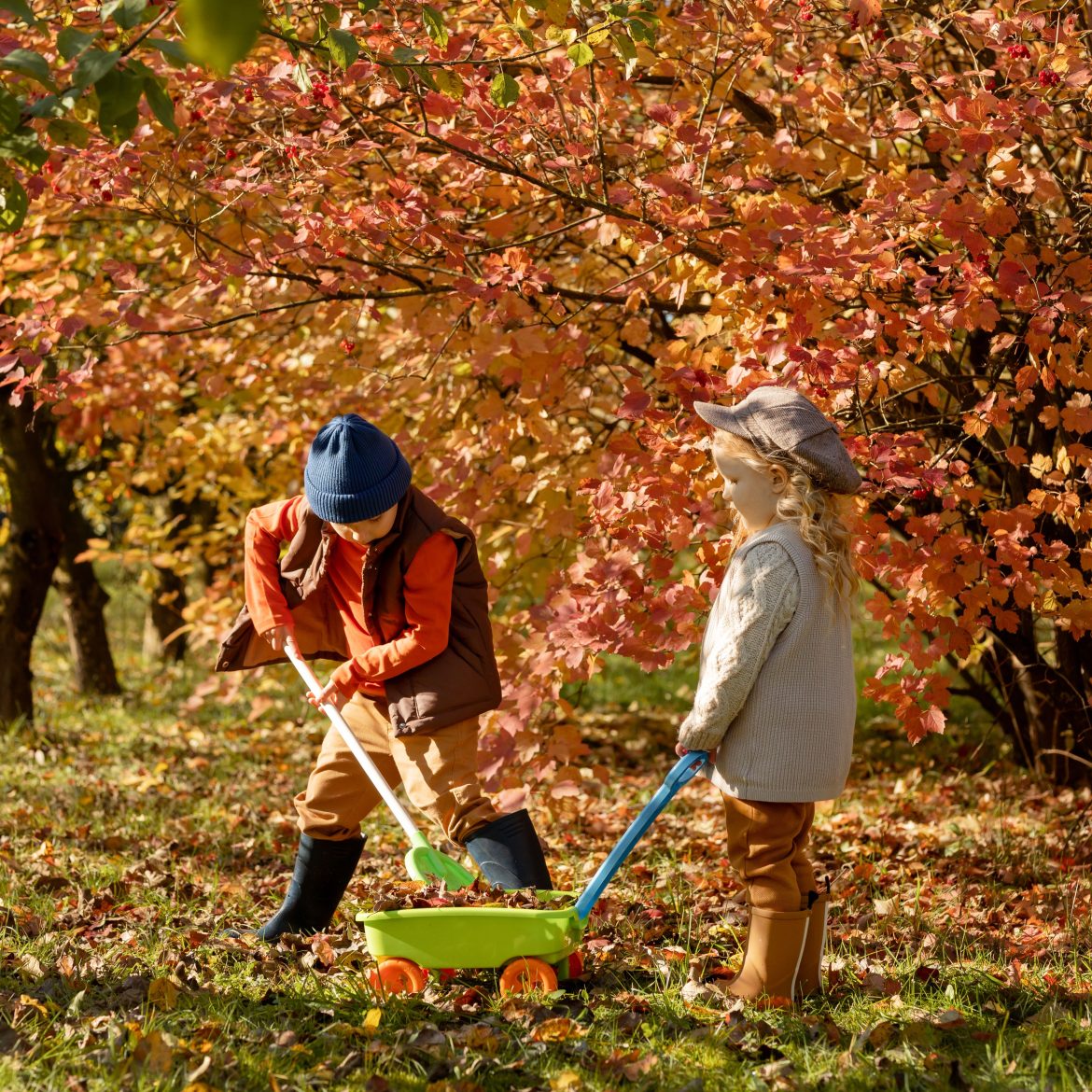 activiteiten in de herfstvakantie voor kinderen