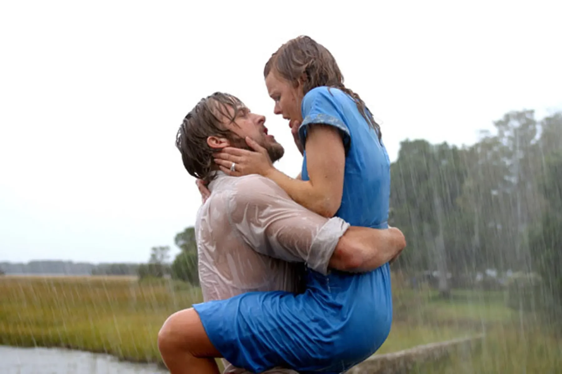 The Notebook Albert Verlinde