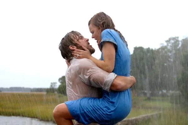 The Notebook Albert Verlinde