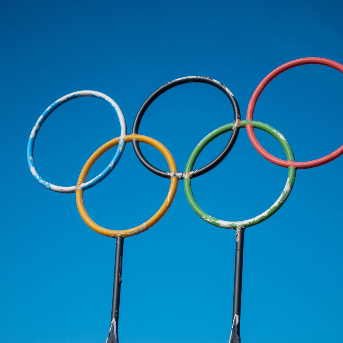 krokodillen olympisch roeien