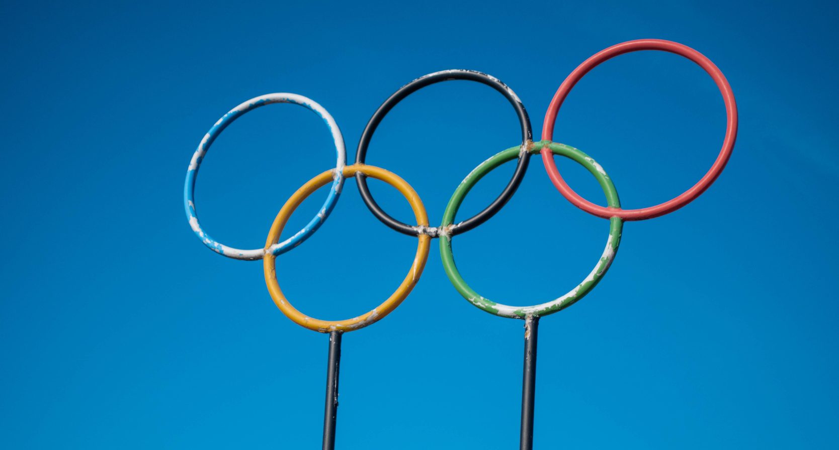 krokodillen olympisch roeien