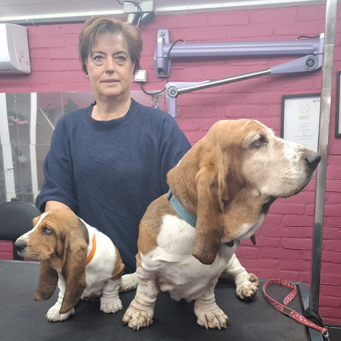 margret begon een hondentrimsalon