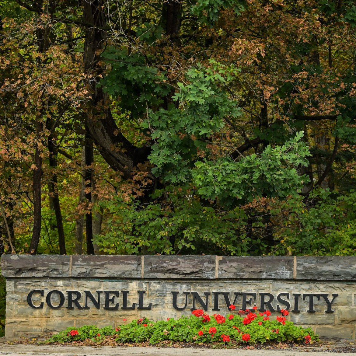 Onderzoek naar vermeende groepsverkrachting Cornell heropend
