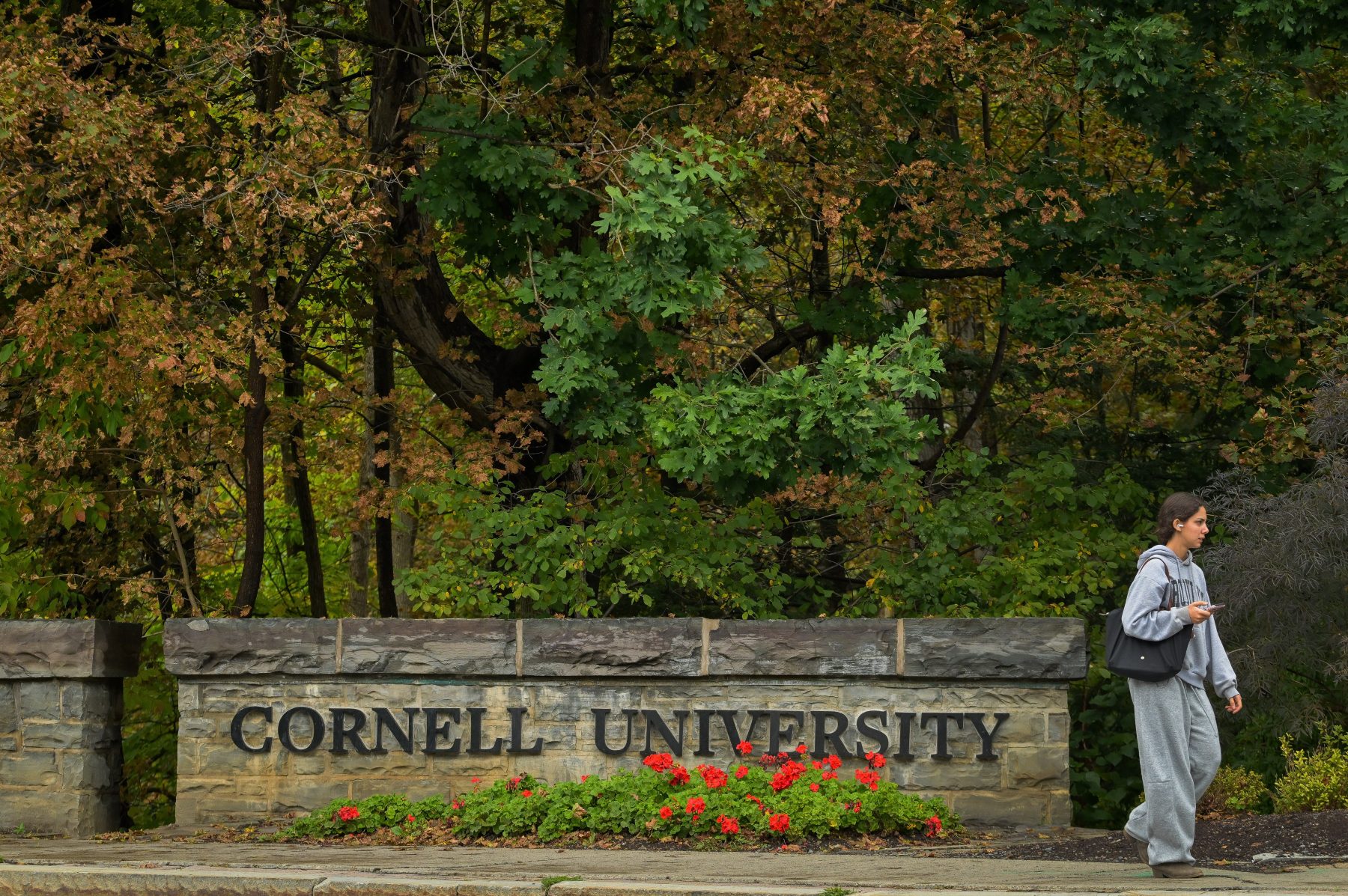 zaak Cornell