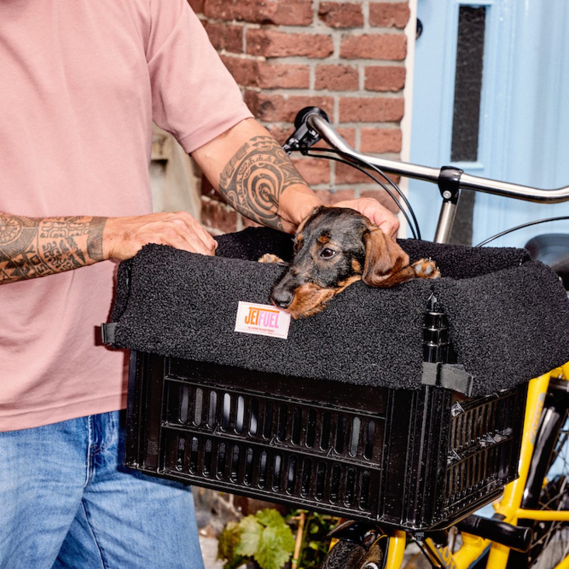 Jetfuel 3-in-1 hondentas