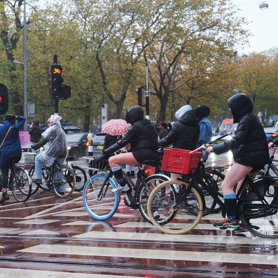Regenachtige dagen op komst. Het weer slaat om.