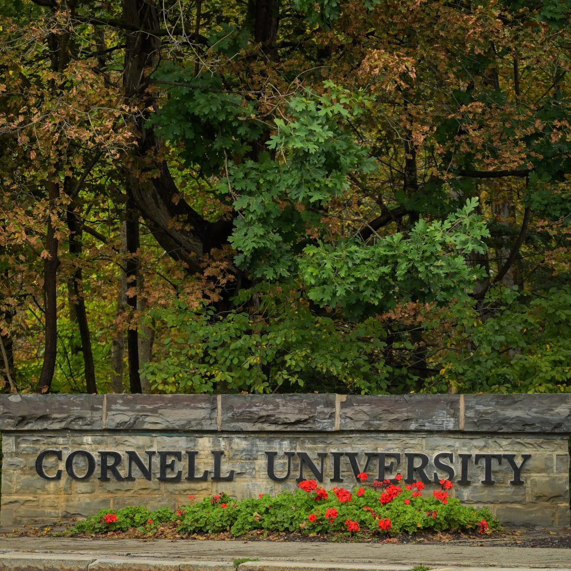 slachtoffer verkrachtingszaak cornell