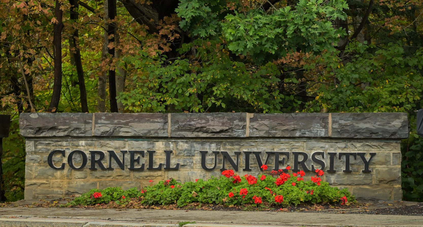 slachtoffer verkrachtingszaak cornell