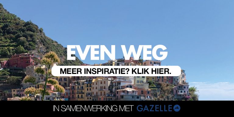 evenweg-gazelle