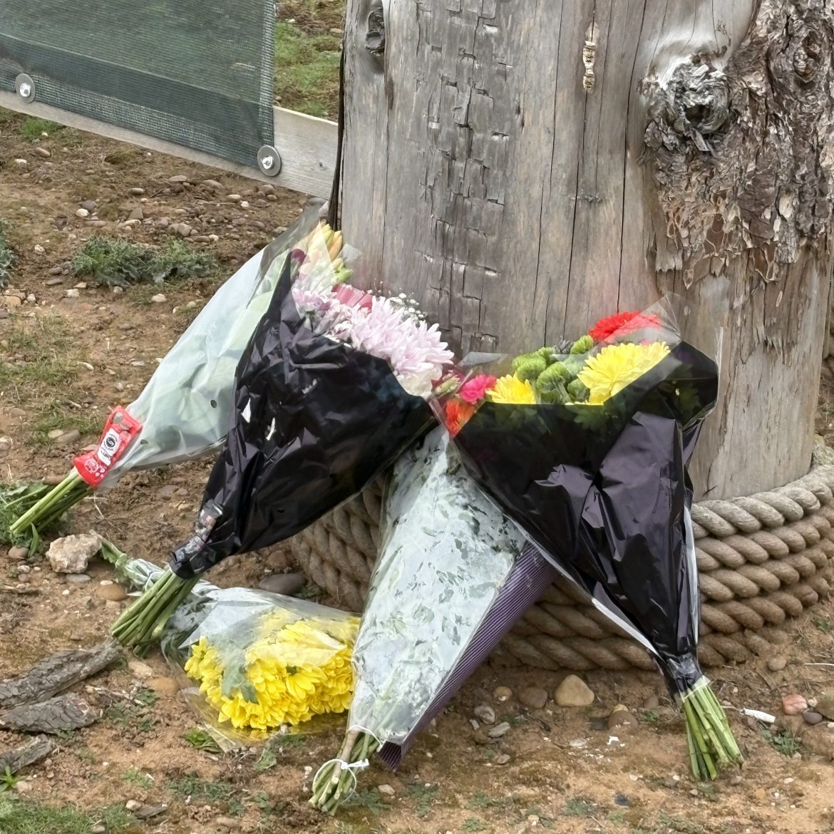Bloemen ter nagedachtenis aan het slachtoffer bij de ingang van de dierentuin