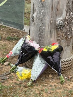 Thumbnail voor Familie van man (23) die overleed na tijgerbeet in dierentuin reageert: 'Hij was stralend, warm en innemend'