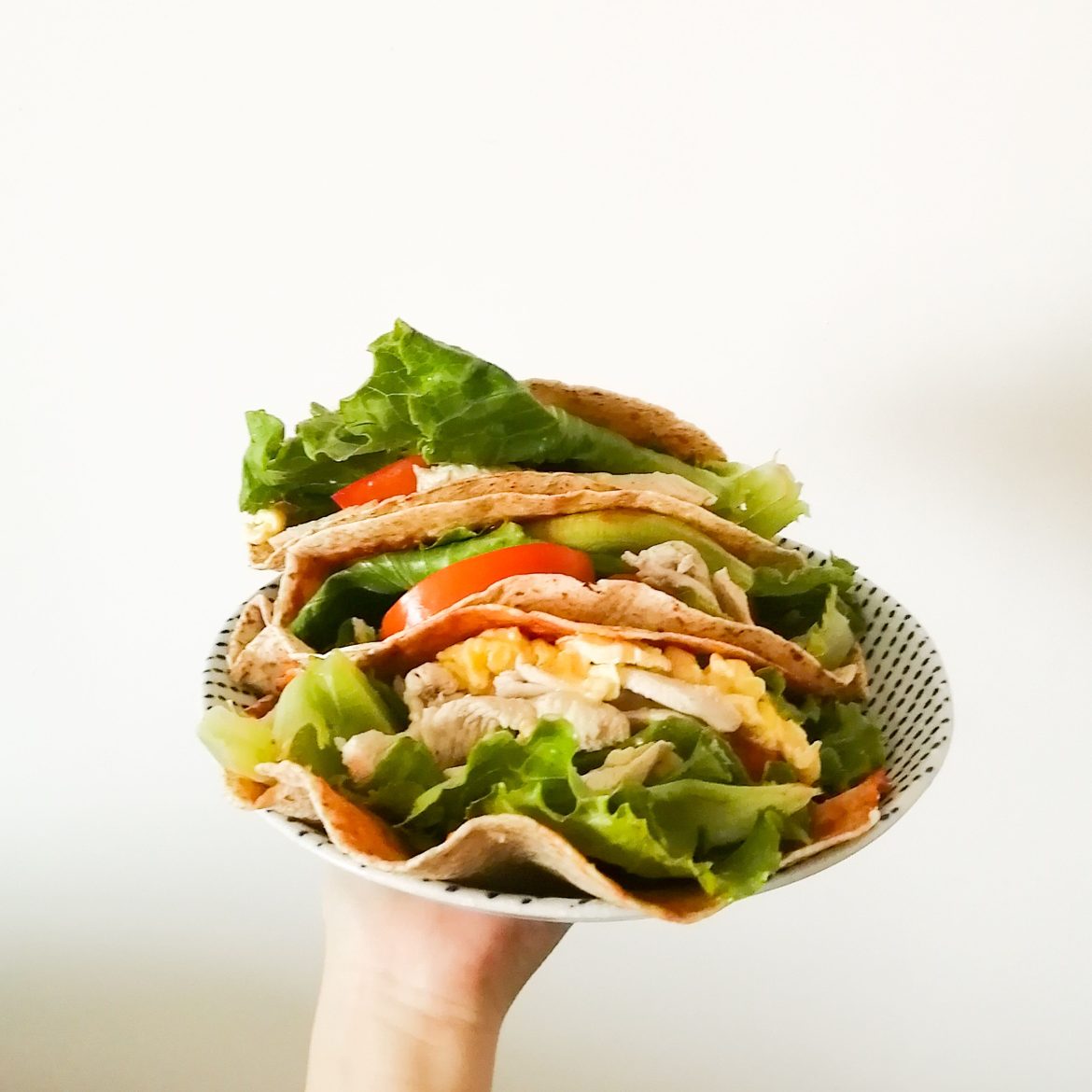 Een hand die een bord met wraps omhooghoudt