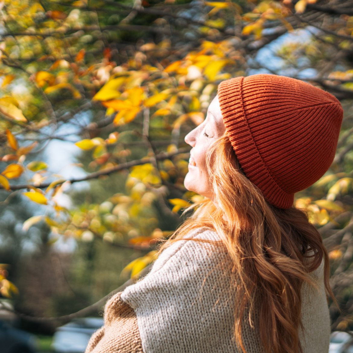 Zonnig herfstweer